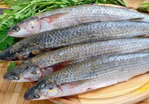 طريقة عمل الفسيخ وطرق التعرف علي الفسيخ الفاسد