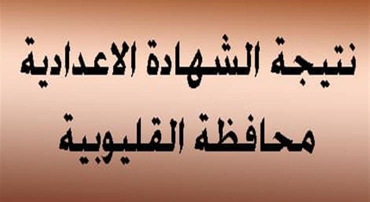 نتيجة الاعدادية بالقليوبية 2019 الترم الثاني برقم الجلوس اليوم السابع وموقع فيتو