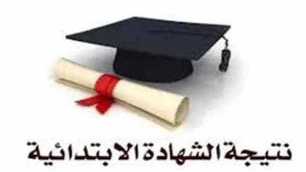 نتيجة الصف السادس الابتدائى 2019 | نتيجة الابتدائية برقم الجلوس | نتيجة السادس الابتدائى موقع وزارة التربية والتعليم